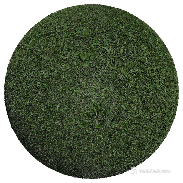 Grassland PBR texture