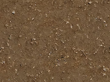 sand sand texture (ID:ffaaf7061)
