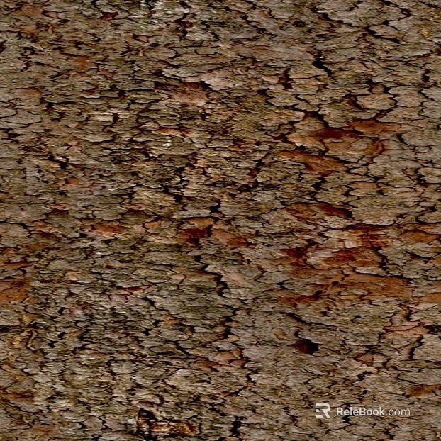 bark texture