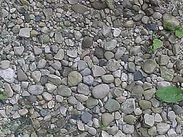 variegated cobblestone courtyard ground pavement texture (ID:ffaeh546061)