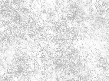 Light gray textured paint, wall coating (ID:ffaeh098361)