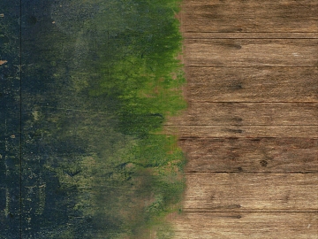 Wooden plank old green wood grain texture (ID:ffaag61984)