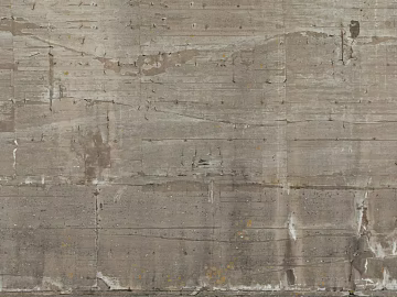 Gray cement wall decoration texture (ID:ffaeh150876)