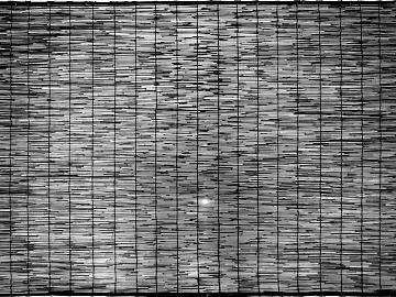 Black and White Bump texture (ID:ffabg60003)
