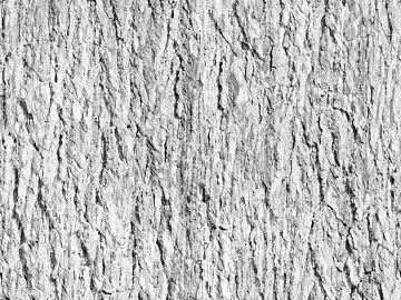 ancient tree bark 3d model