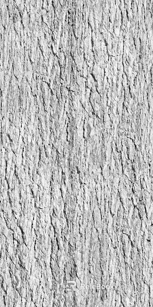 ancient tree bark texture