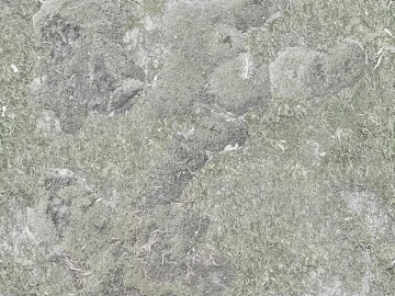 moss texture (ID:ffabg44897)