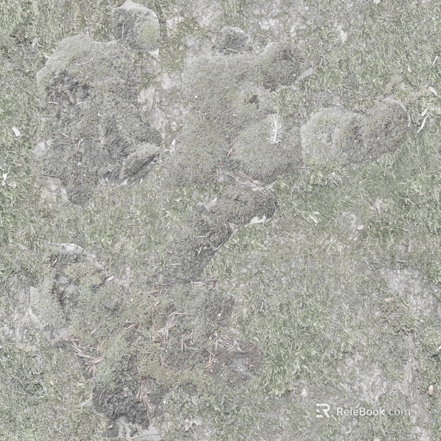 moss texture