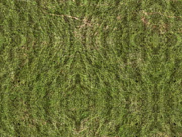Turf texture (ID:ffabf1495)