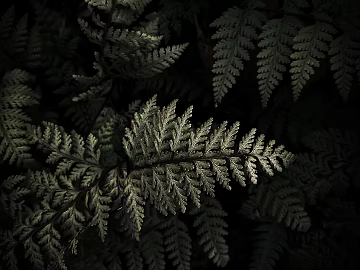 leaves texture (ID:ffaeg99118)