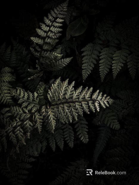 leaves texture