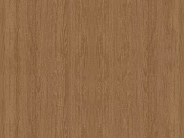 Wood grain 3d model