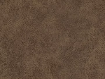 fine grain leather texture (ID:ffaeg00924)