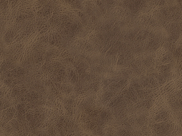 fine grain leather texture (ID:ffaeg00924)