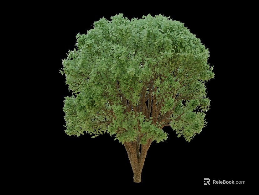 Green landscape tree courtyard landscaping texture