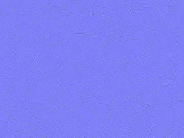Normal Bump 3d model