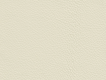 fine grain leather texture (ID:ffaag08267)