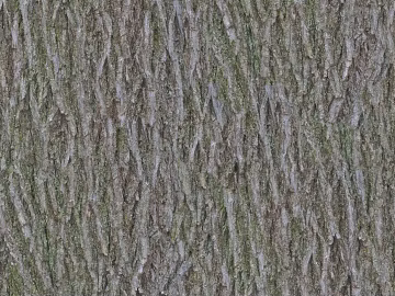 bark texture (ID:ffagg44787)