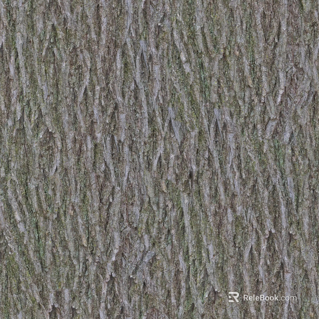 bark texture