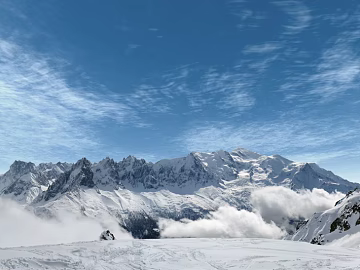 Wild Scenery 3d model