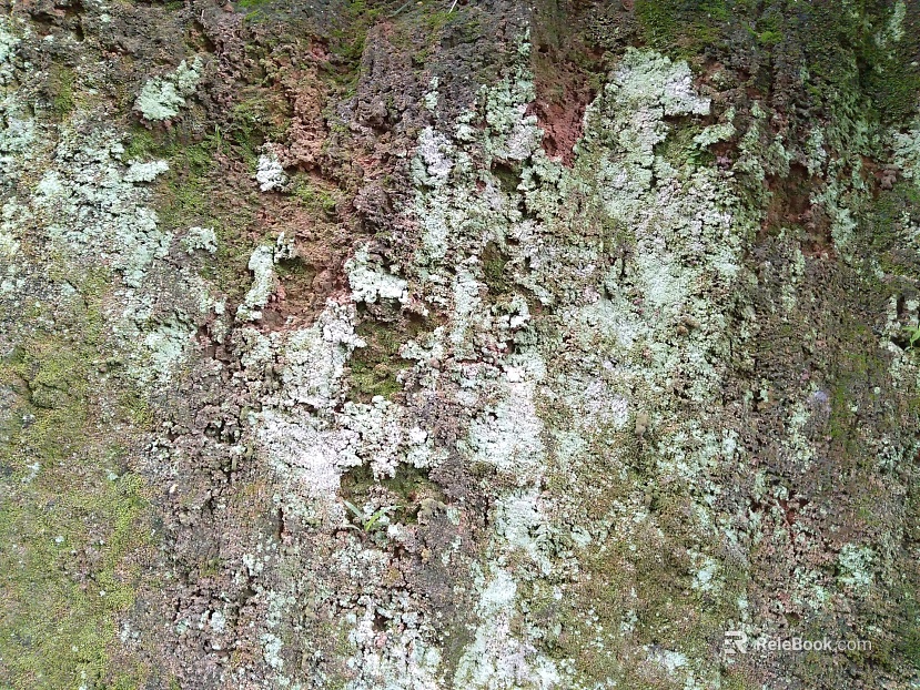 mountain rock wall texture