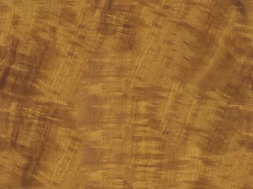 Wood Wood Grain texture (ID:ffach587403)
