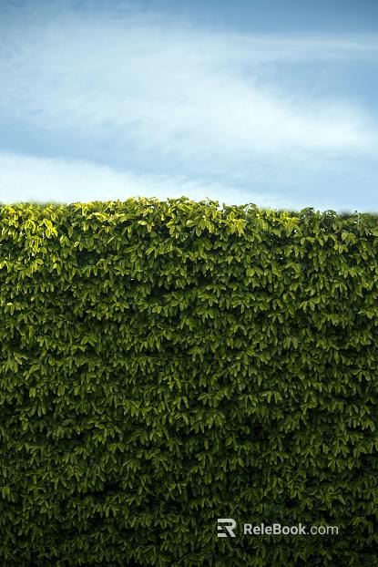 Plant painting texture