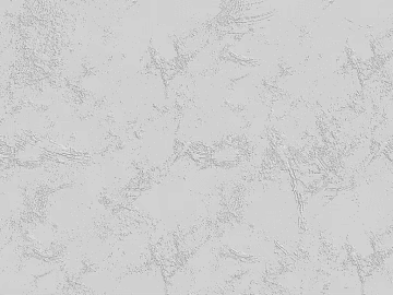 diatom mud texture (ID:ffaeg43358)