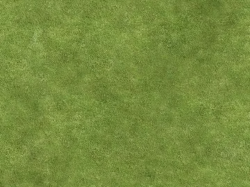 Outdoor lawn texture (ID:ffach448706)