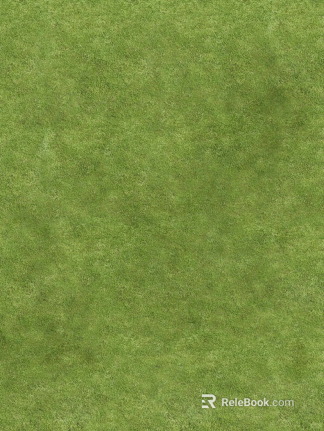 Outdoor lawn texture