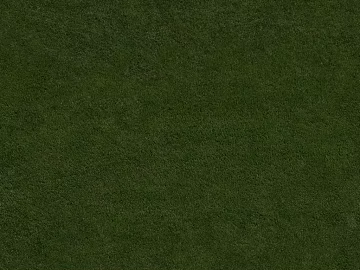 Turf texture (ID:ffaag94811)