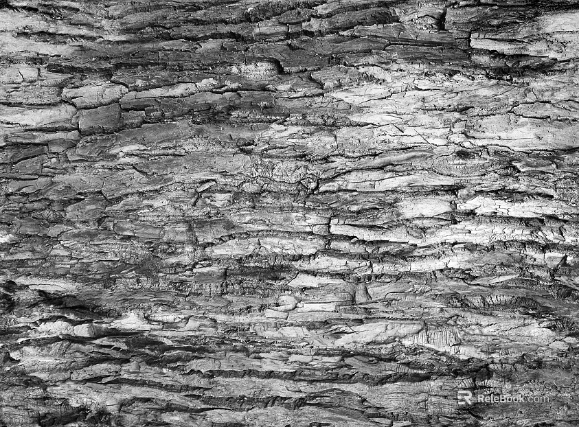 Black and white bark texture decorative background texture