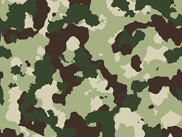 camouflage cloth pattern texture (ID:ffagg92130)