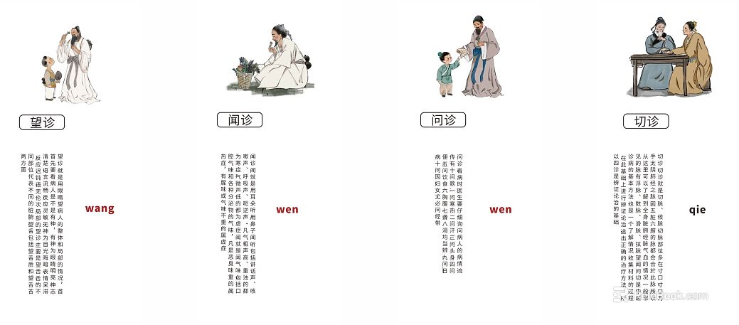 Chinese Four Diagnosis Illustration texture