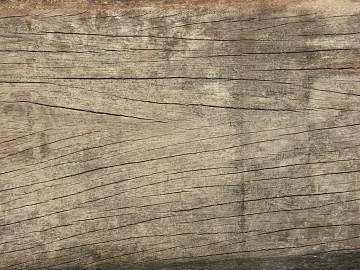 old wood texture (ID:ffach294016)