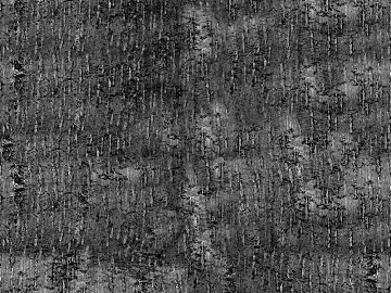bark texture (ID:ffadf3498)