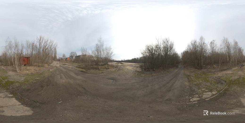 Outdoor woods day cloudy HDR texture