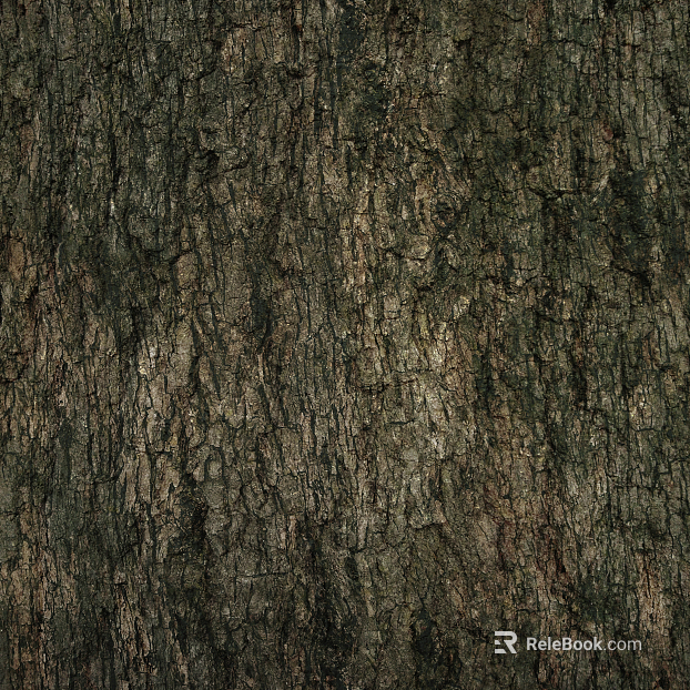 bark texture