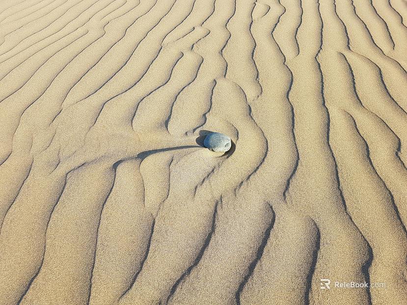Wild Scenery texture