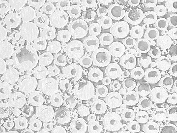 Black and White Bump texture (ID:ffaeg74251)
