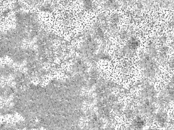 Black and White Bump texture (ID:ffacg18274)