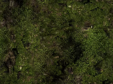 moss texture (ID:ffach681665)