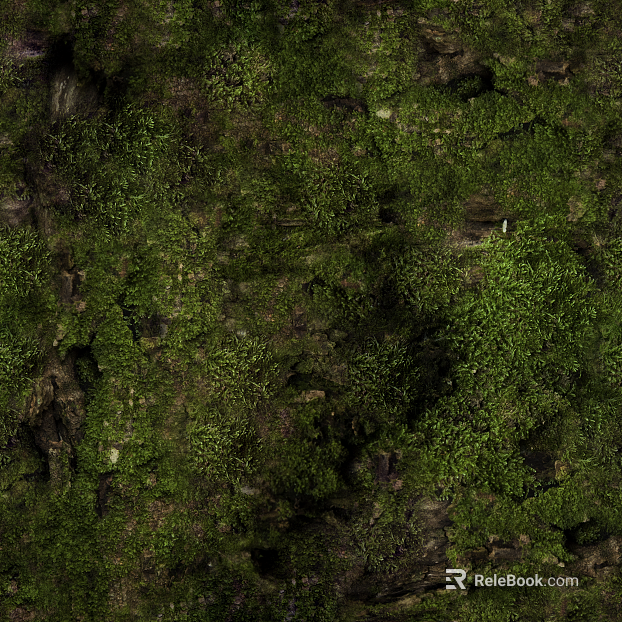 moss texture