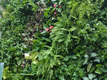 Plants texture (ID:ffabf3778)