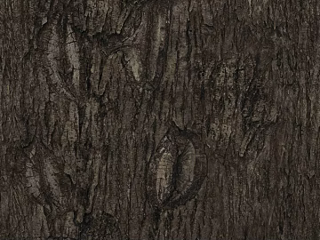 bark texture (ID:ffajg24131)