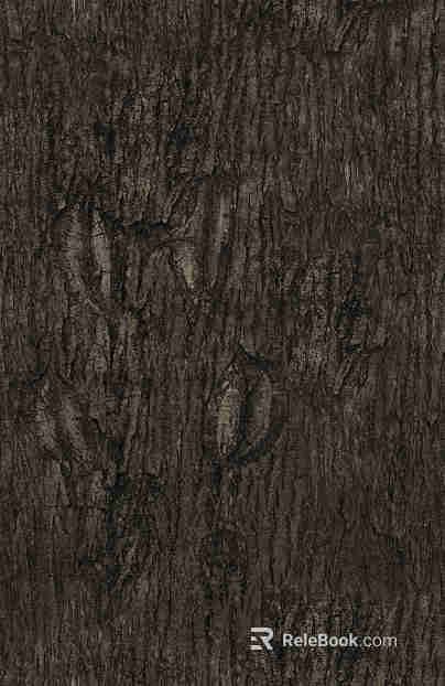 bark texture