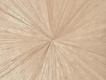 Light Log Radiated Wood Patchwork Table Top texture (ID:ffaeh249336)