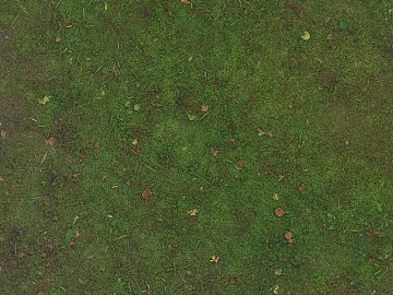 Turf texture (ID:ffacg32921)