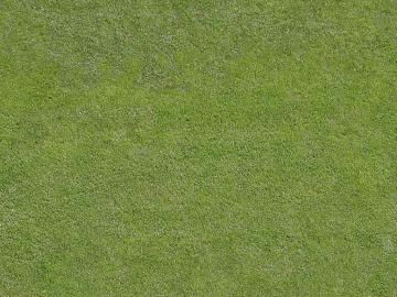 Turf texture (ID:ffadf0687)