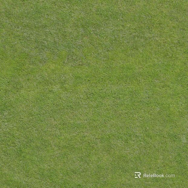 Turf texture